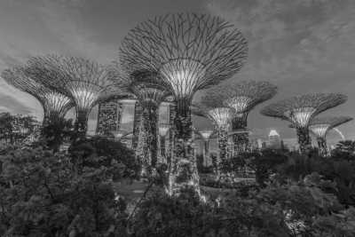 Singapore - Gardens by the Bay - Celebrate New Year In Singapore 🇸🇬
