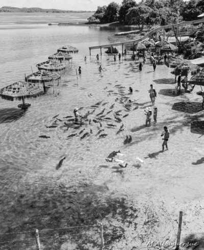 Brazil - Lagoon tambaquis - Coastal Wonders: Salvador to Aracaju Escape in Brazil - 4