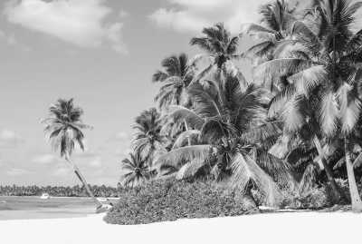 Jamaika - Half Moon Beach - Negril and Montego Bay, Jamaica - Swim with Horses, Explore Beaches, Go Rafting and more!