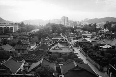 Korea, South - Jeonju-si - 🌸Great Discovery in South Korea: Exploring City and Historical Site, Surfing Adventure, Nature Exploring on Jiri Mountain, and Local experience in Jimjilbang! - 2