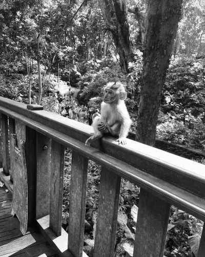 Indonesien - Uma Cekingan - 7 days in Bali Exploring Nature & Culture on an Island Paradise 🌊 - 9