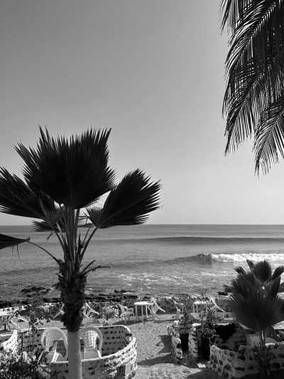 Senegal - Dakar - Senegal's Summer in Winter: Explore The Culture and Excitement in West Africa - 1