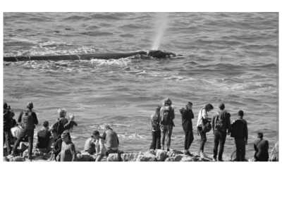 South Africa - Whale Close - Women's Wellness Journey - Sacred Sisterhood - 3
