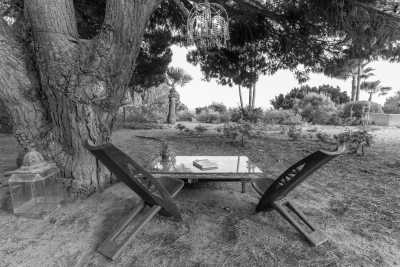 Portugal - Pinheiro - Wellness Retreat in Algarve, Portugal (4 nights) - 11