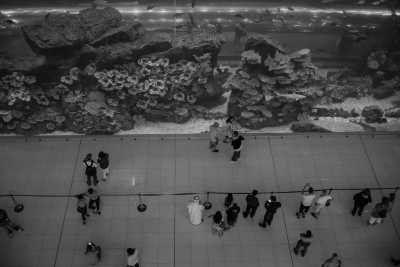 United Arab Emirates - Burj Khalifa - Dubai Diaries: Discovering the City of Gold - 3