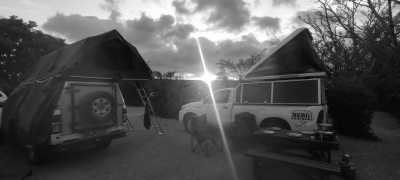 South Africa - Addo Elephant National Park - South Africa Roadtrip with a Local: Untouched beaches 🌞, Mountains, Wilderness, Campfires & Adventure 🤙 Epic Roadtrip through an epic Country🚙 - 7