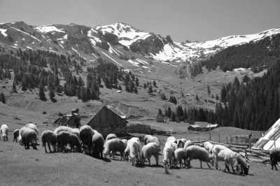 Southern Europe - Albania - Enjoy Albania with Me! - 1