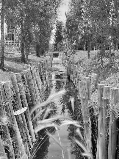 Mexico - Xochimilco - Mexico City: Monarch Migration Expedition - 11