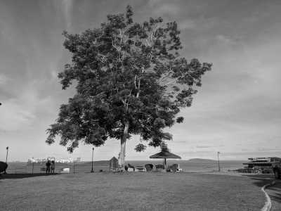 Thailand - Chumphon - CoWorking in Southern Thailand: Chumphon & Koh Tao Adventure - PADI Open Water, Durians & Coffee, Breakfast Included - 3