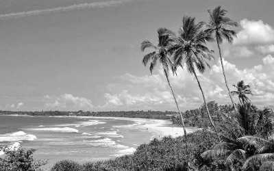 Sri Lanka - Bentota - Tropical Roundtrips: Discovering Sri Lanka's Wonders - 1