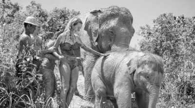 Thailand - Elephant Jungle Sanctuary Phuket - Summer in Phuket - sunset cruise, unforgettable moments and exploring Thailand
