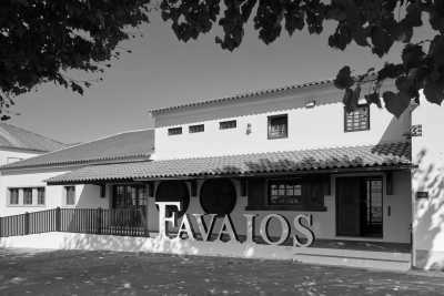 Portugal - Enoteca - Quinta da Avessada - Discovering Douro Valley Gems - The wines, Salling, Gastronomy and Nature - 3