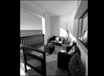 Spanien - Puerto de la Cruz - ONE spot left ! Workation, Island Style 🎭 Carnaval Edition 🎭 16 Days or 7 Days Co-working from Digital Nomads paradise Tenerife 🌋 - 1