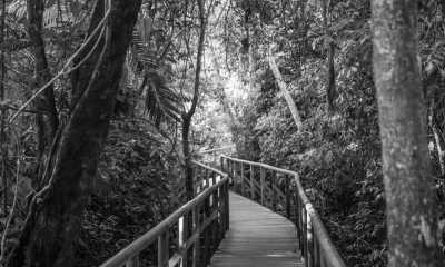 Costa Rica - Punta Leona - Majestic Adventures in Costa Rica: Beaches, Volcanoes, Hot Springs, Cloud Forest, and Pura Vida Lifestyle! - 2