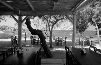 Greece - Nikolas Tavern Mykonos - Seafood Restaurant - Mykonos 5 days incl. Hotel, Party, Transfer - The party island of Greece! - 3