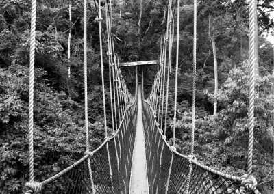 Ghana - Kakum National Park - Getting around Ghana like a local! - 1