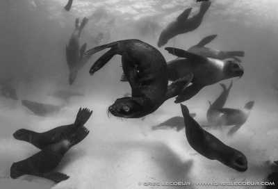 Südafrika - Plettenberg Bay - Bucket List Camp South Africa ~ Monique  - 3