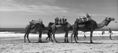 Morocco - Morocco Adventure Trip in small group of 4 - Beaches, Waterfalls and Partying - JoinMyTrip