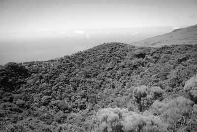 Portugal - Madalena - Exploring for 7 days Pico Island, Portugal - Hiking, Sightseeing and More 🏝️ - 3