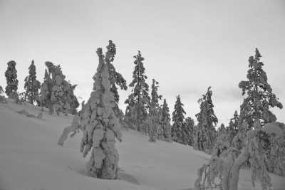 Finland - Pyhätunturi - Journey into Lapland’s pristine nature: drums, land journeys, silence and connection - 2