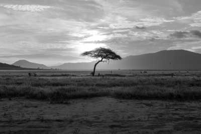 Kenia - Northern Kenya Adventure - Christmas in Kenya - JoinMyTrip