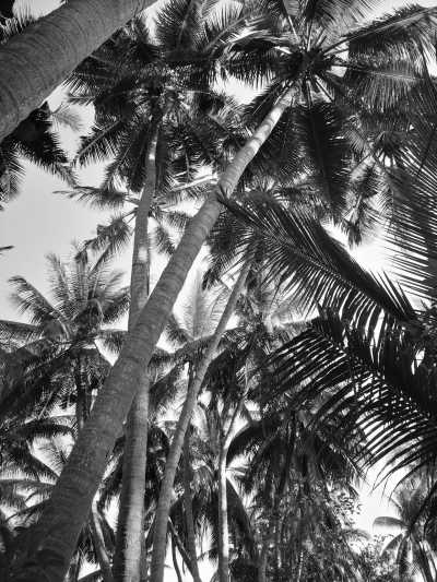 Indonesien - Penida Island - Bali: Majestic Waterfalls, Iconic Beaches, Volcano Climbing, Snorkeling and Wellness | All in Indonesia - 2