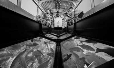 Indien - Lakshadweep - Lakshadweep Islands, India - An adventurous intro to the sea! - 5