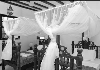 Tansania - Abeid Amani Karume International Airport - Zanzibar Workcation: Cowork, Chill, and Explore Paradise(private room) - 2