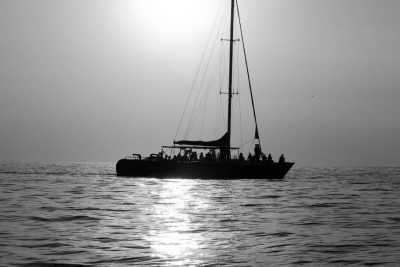 Jamaika - Negril - Discover Jamaica -  Beaches, Good Vibes, visit Rick's café, famous Pelican Bar & more - ALL INCLUSIVE - 4