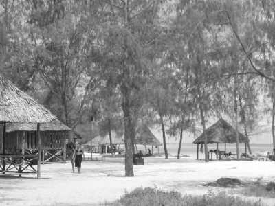 Eastern Africa - Mbudya Island - Exploration of the East Africa community 🌍 (🇰🇪 🇺🇬 🇷🇼 🇧🇮 🇹🇿) : Experience a Real Eastern Africa's Hidden Gems Adventure - 5