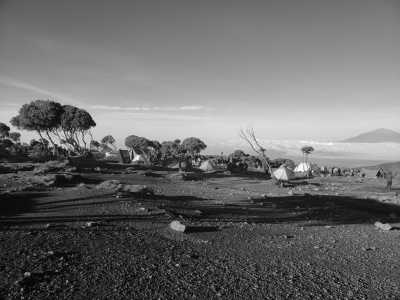 Tansania - Shira Cave - Scale Kilimanjaro: 7-Day Lemosho Route Summit Ascent in Tanzania