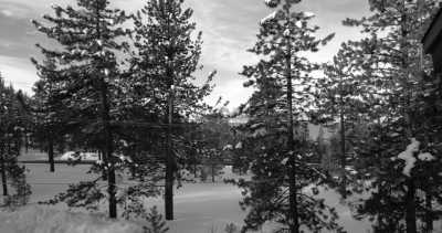 Vereinigte Staaten - Round Hill Village - Skiing and Snowboarding in Lake Tahoe, Sierra Nevada Mountains, USA - 2