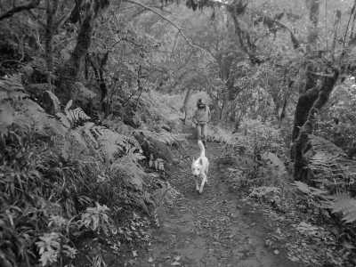 Spain - Taganana - Discover Tenerife's Hidden Gems on a Guided Trip Off the Beaten Track - 1