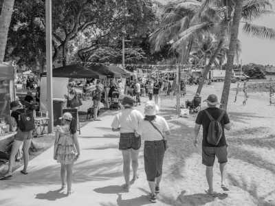 Australia - Cedar Creek Falls - 🇦🇺Great Barrier Reef + Rainforest + Wildlife + Friends: Explore the Whitsundays - 2