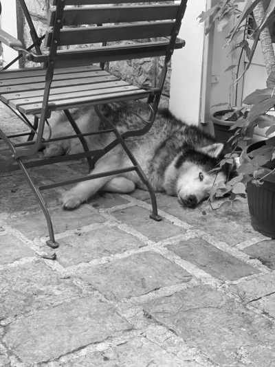 Montenegro - Kotor - Adventures On The Sea And Road Trips In Montenegro-Beaches, Caves and Hidden Gems (Guided trip) - 3