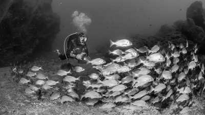 Portugal - Mero Diving Center - Hiking, Relaxing and Discovering Madeira, Portugal - 2