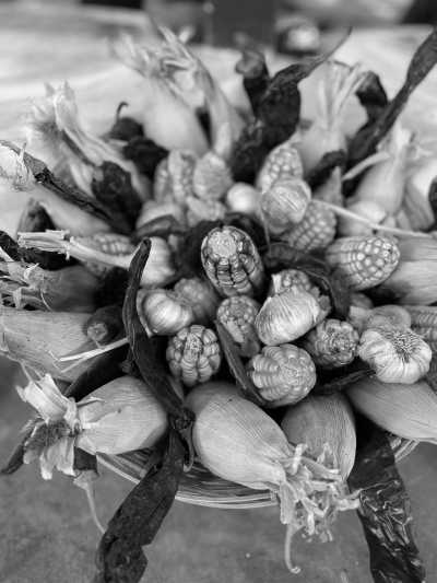 Mexico - Oaxaca - Unveiling OAXACA Mexico: A 7-Day Gastronomy, Culture, and Crafts Adventure for Women - 4