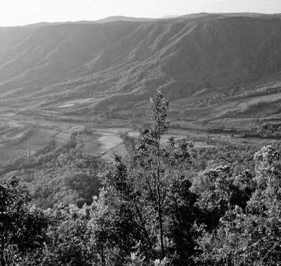 Australia - Cape Hillsborough - 🇦🇺Great Barrier Reef + Rainforest + Wildlife + Friends: Explore the Whitsundays - 2