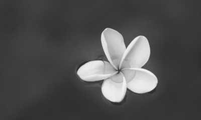 Indonesien - Sanur - Discover Bali Like a Local: Authentic Travel Experiences Await - 1