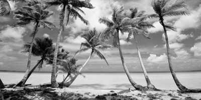 French Polynesia - Arutua - Tuamotus - Französisch Polynesien - Einzigartiger Segeltörn - 3