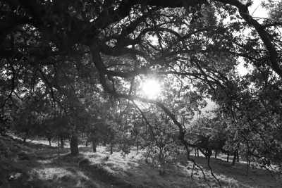 Spain - Culla - RURAL AND ACTIVE CO-WORKING in Valencia, SPAIN with a LOCAL - Feel ACTIVE and SURROUNDED by NATURE while you work in Spain - 7