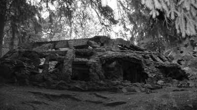 Estonia - Glehn park - Level Up Your Health and Immerse in Wonderful Experiences in Tallinn, Estonia with a Health and Fitness Coach - 2