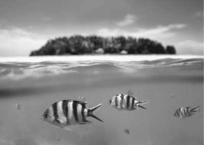 Tanzania - Zanzibar Island - Ultimate Serengeti to Zanzibar Trip: Explore the Best of Tanzania - 1