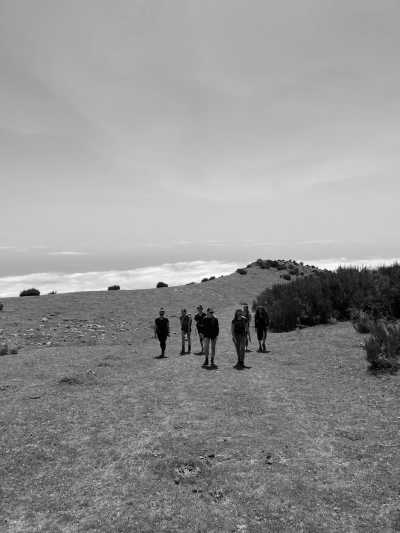 Portugal - Fanal Forestry Station - Coworkation, Coliving and Adventurous Hiking Trip with a Knowledgeable expat on the dream island of Madeira (Single rooms) - 6