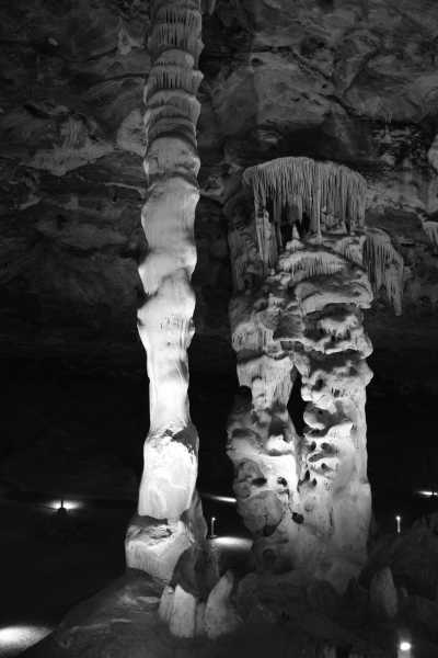 South Africa - Oudtshoorn - Cape Town and the Garden Route 🇿🇦 Explore South Africa with a Local - 2