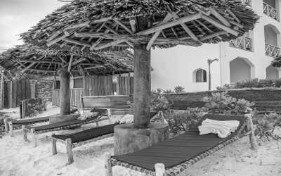 Tanzania - Matemwe - Adventure in Zanzibar, Tanzania with a Local Expert - 7