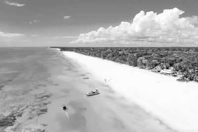 Kenya - Wasini Island - Discovering the nature and customs of Kenya, East Africa - 2