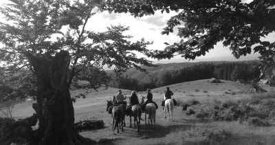 Rumänien - Crinț - Reiten & Thai Yoga Massage - eine Pferdereise durch Rumänien - 2