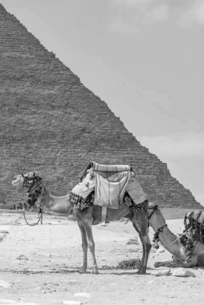 Ägypten - Pyramids of Giza - Hurghada to Luxor: Exploring Egypt's Riches Along the Red Sea - 4