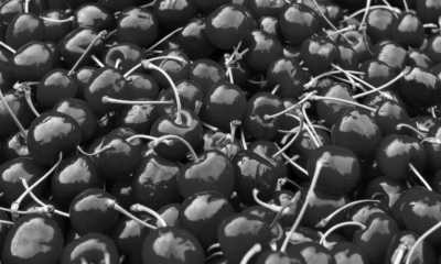 Italien - Chiusa Sclafani - Cooking and Adventure Retreat in a Sicilian Rural Villa + Cherry's Festival 🍒 - 1